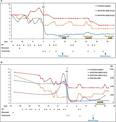 Successful eculizumab treatment as an adjunctive therapy to desensitization in ABO-incompatible living donor kidney transplantation and its molecular phenotypes